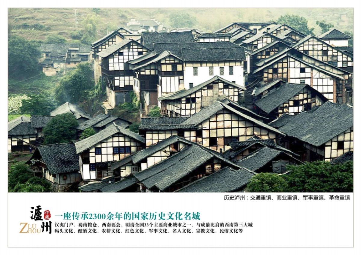 泸州市全域旅游发展规划及实施方案(中科院所)_第6页