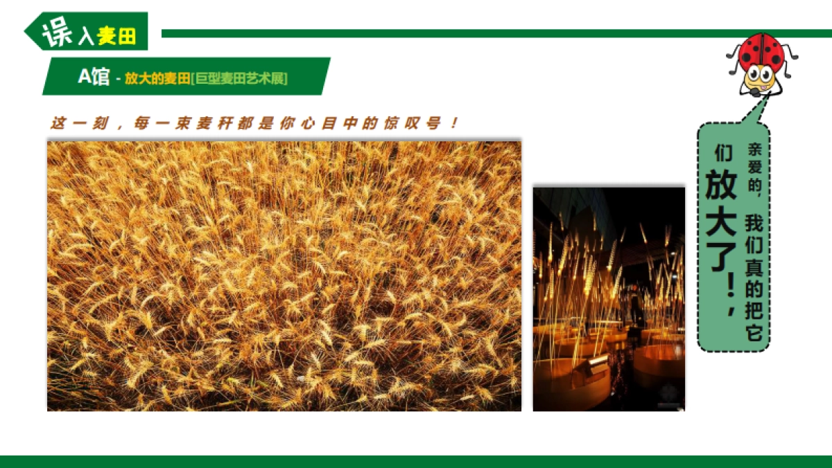 “误入麦田”小人国体验园_第10页