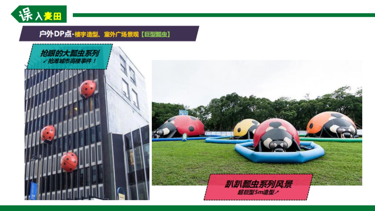 “误入麦田”小人国体验园_第5页