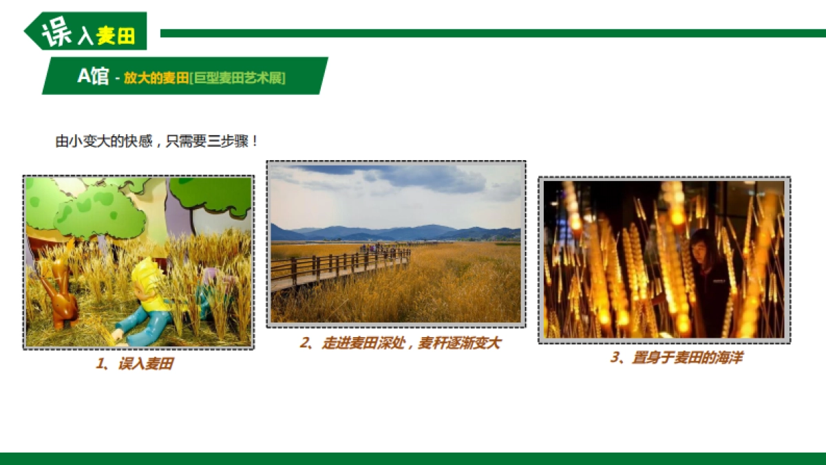 “误入麦田”小人国体验园_第9页