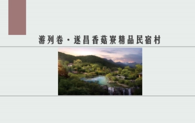 2021旅游目的地精品民宿村方案