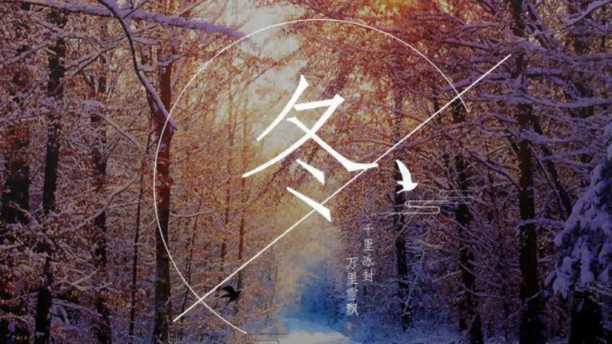 2022大青山文旅国际旅游度假区旅游资源推介方案_第10页