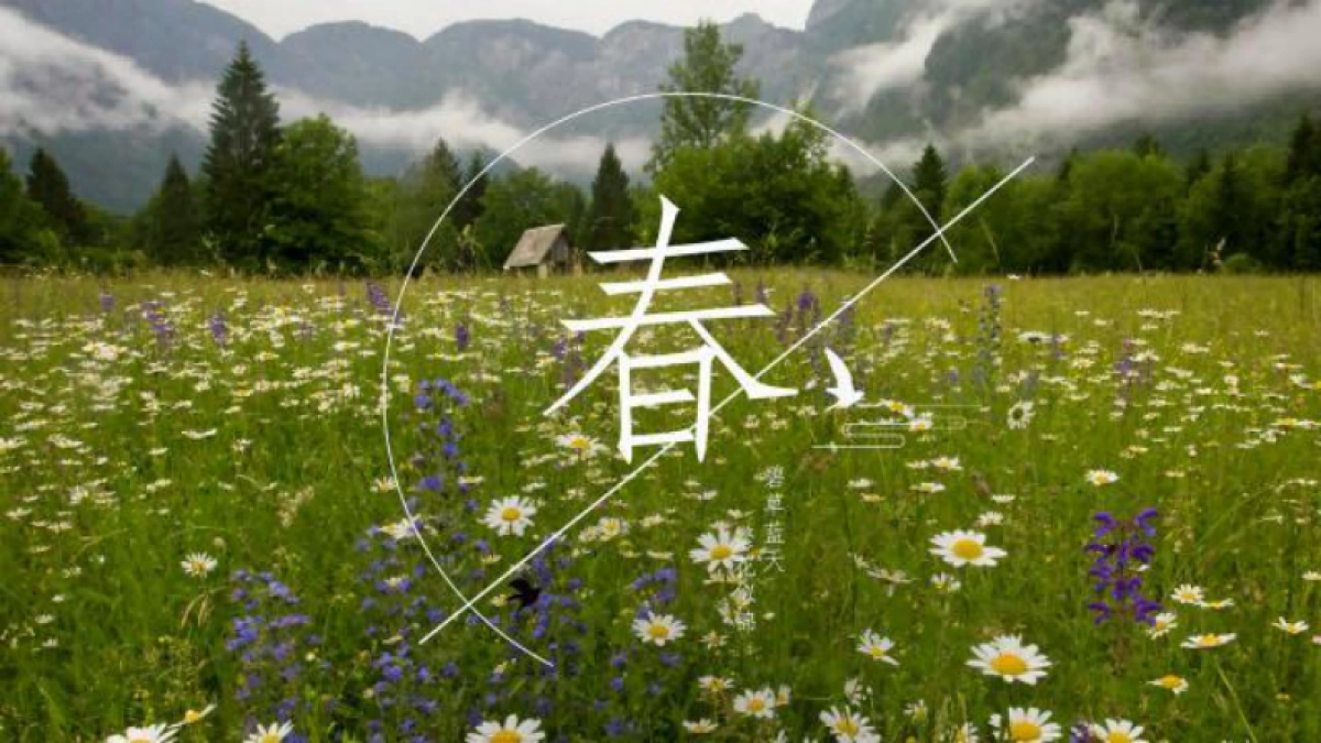 2022大青山文旅国际旅游度假区旅游资源推介方案_第7页