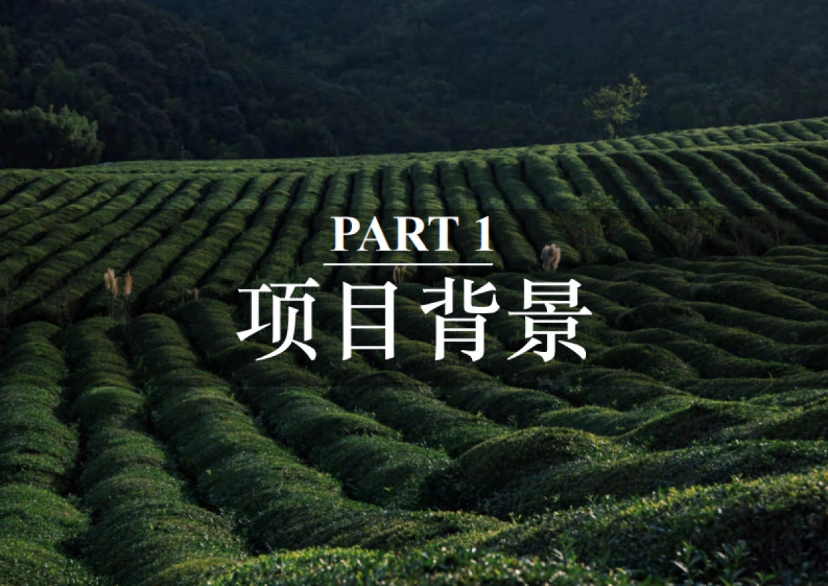 2023茶庄农文旅板块农村产业融合发展示范园战略规划方案_第6页