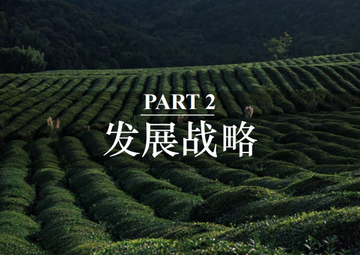 2023茶庄农文旅板块农村产业融合发展示范园战略规划方案_第8页