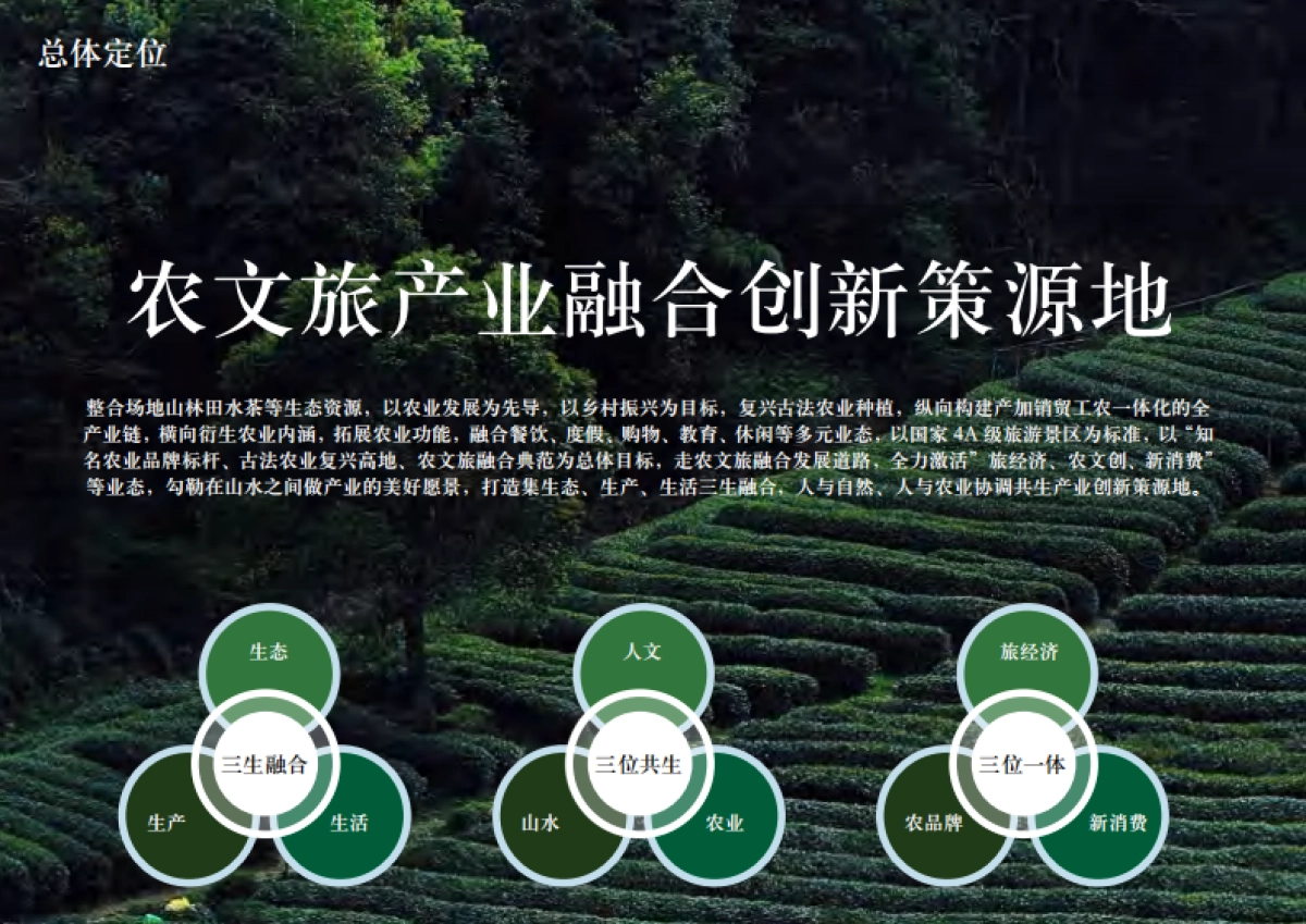 2023茶庄农文旅板块农村产业融合发展示范园战略规划方案_第9页