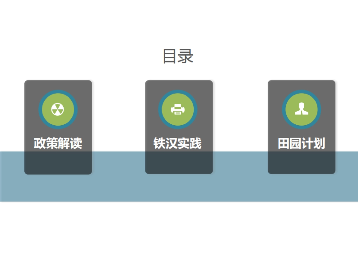 PPP浪潮下的田园综合体开发模式探索（深圳铁汉）_第2页