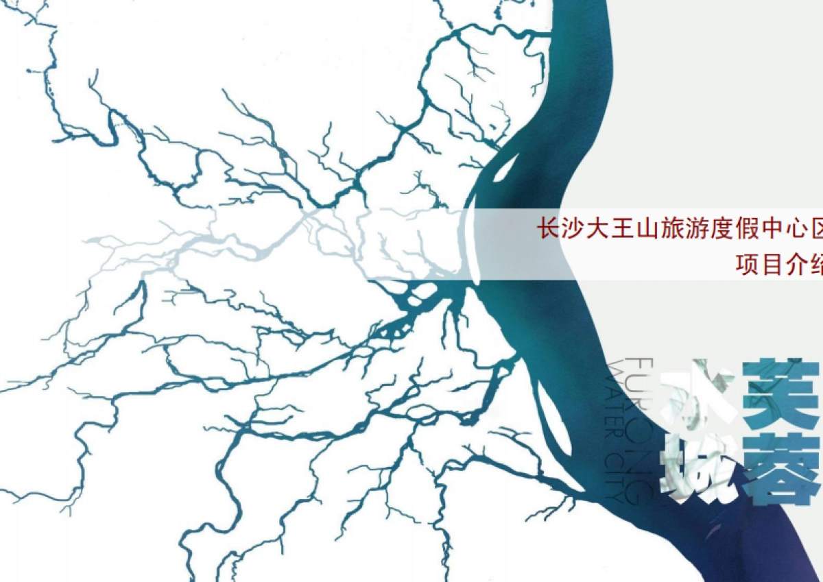 大王山旅游度假区规划(戴德梁行)_第1页