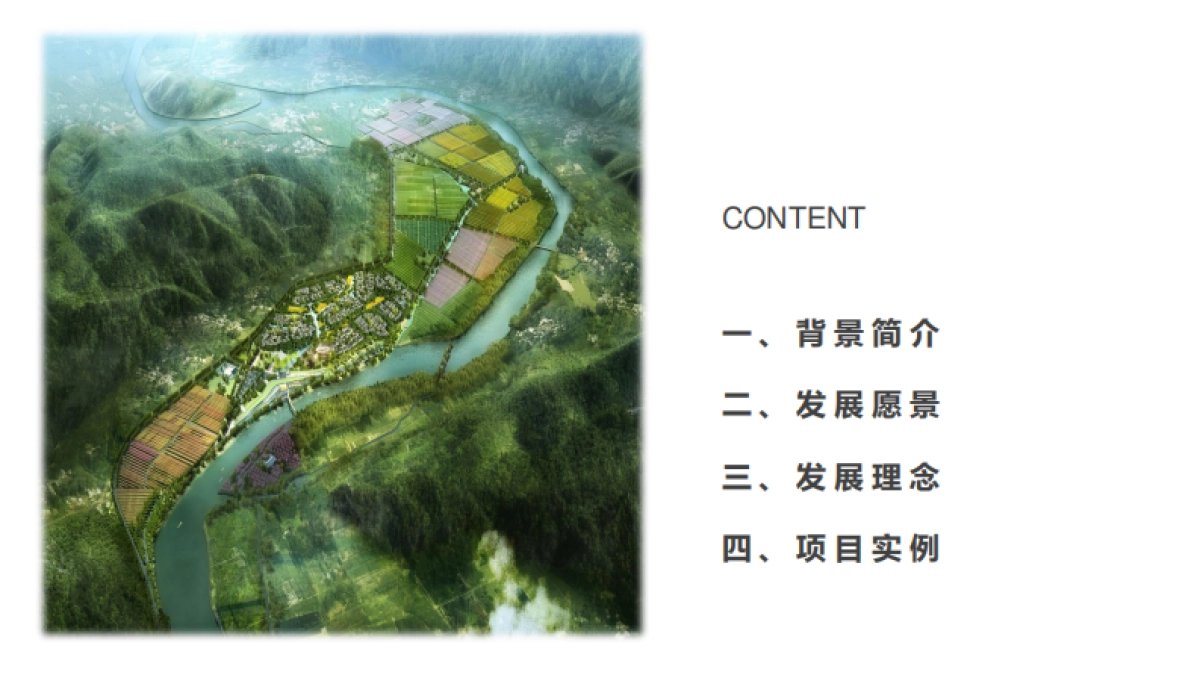 多利田园综合体模式介绍_第2页