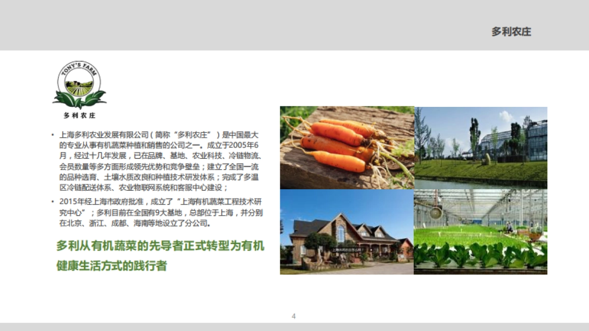 多利田园综合体模式介绍_第4页