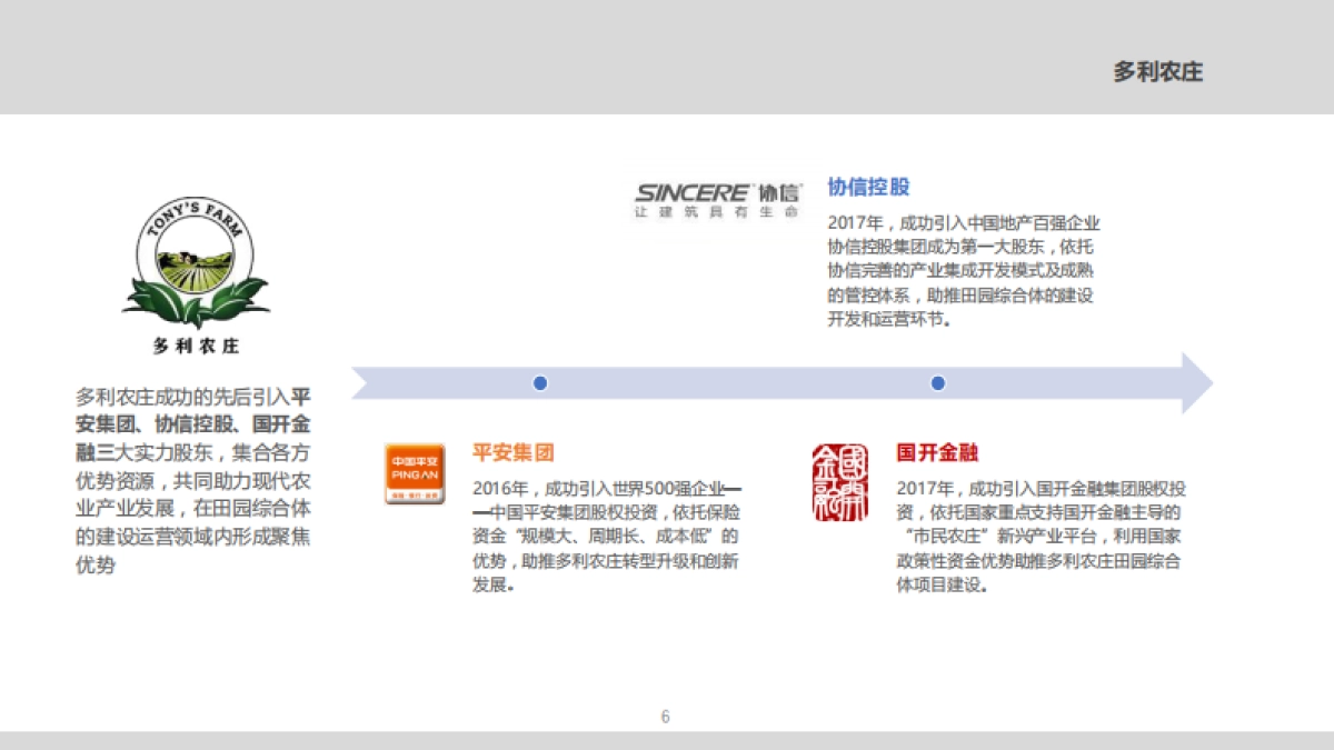多利田园综合体模式介绍_第6页