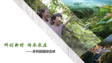 多利田园综合体模式介绍