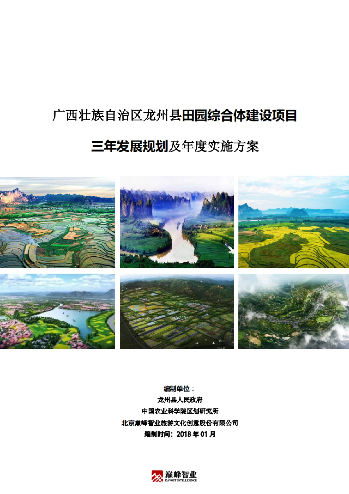 广西龙州县田园综合体三年发展规划实施方案（巅峰）_第1页