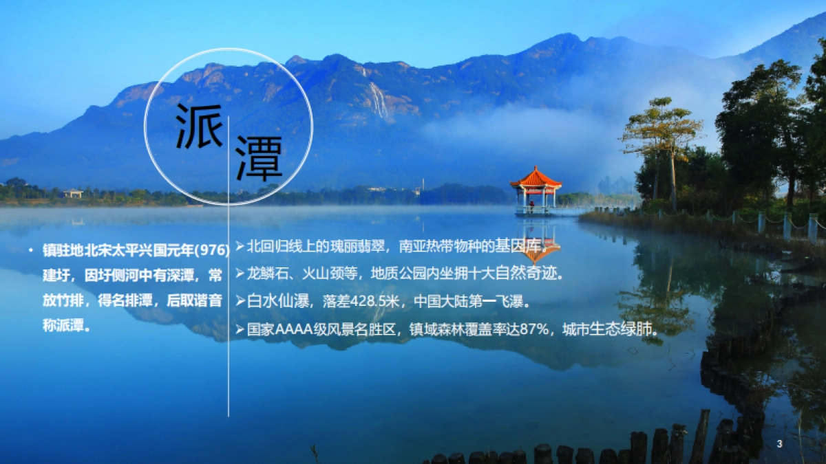 广州增城派潭全域旅游规划（巅峰智业）_第3页