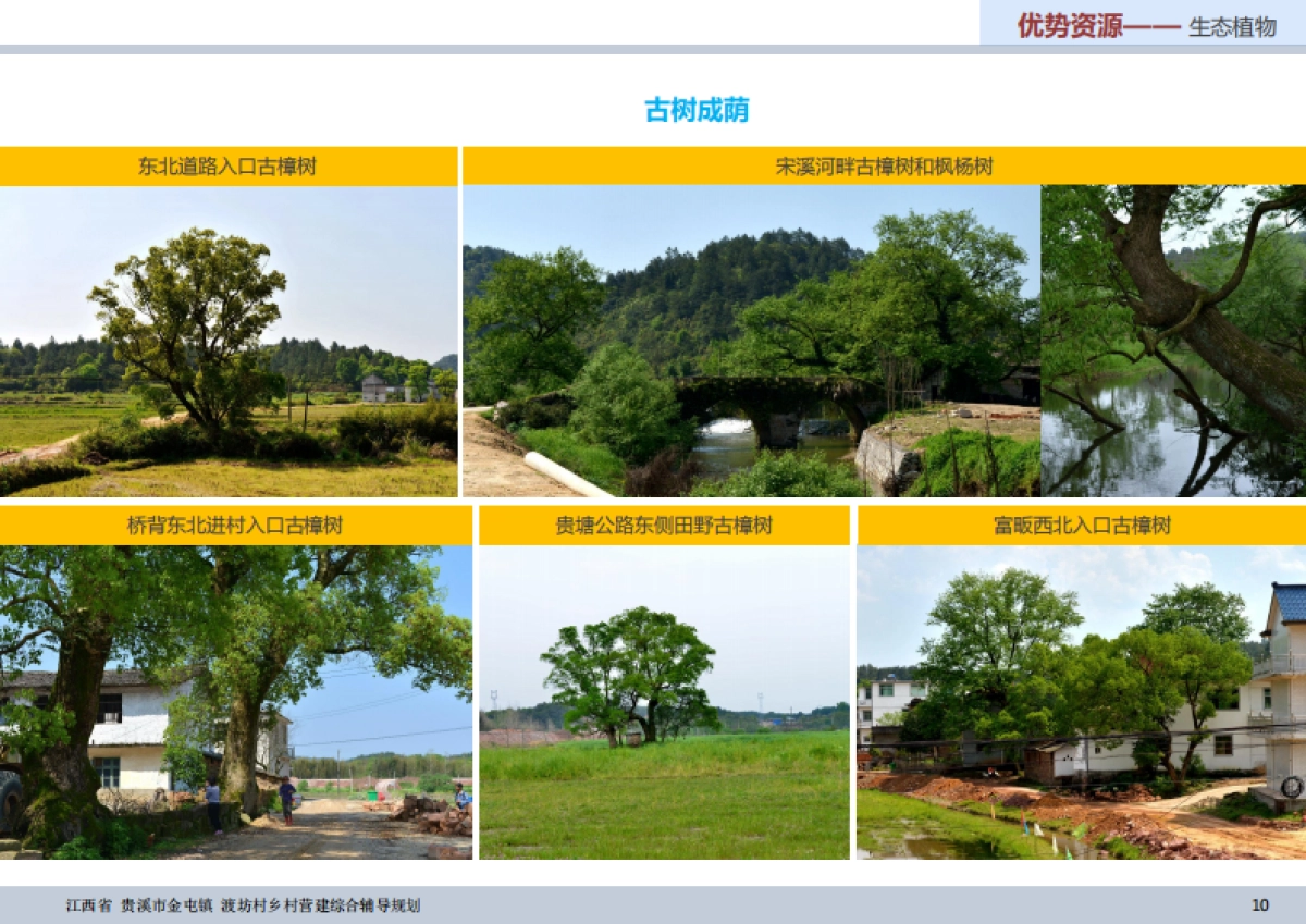 贵溪市金屯镇渡坊村乡村营建综合辅导规划_第10页