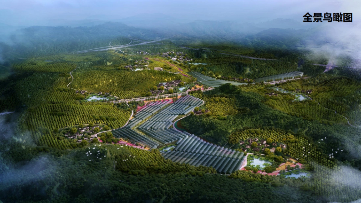 桂花镇金井村乡村振兴建设规划_第2页