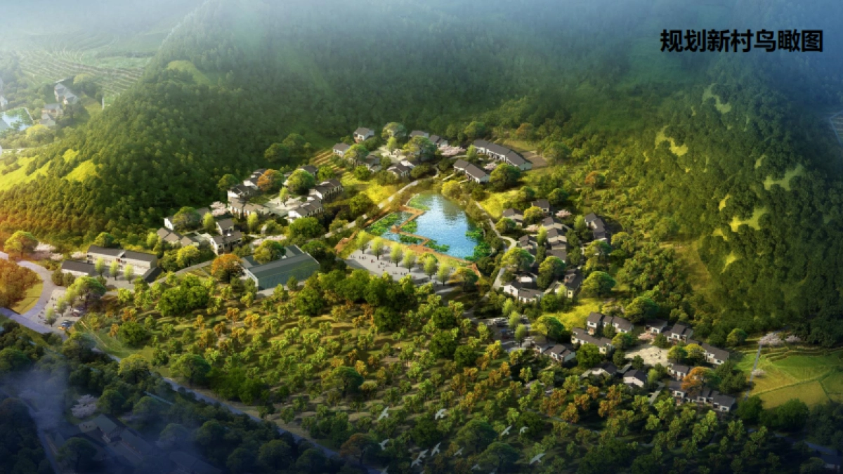 桂花镇金井村乡村振兴建设规划_第3页