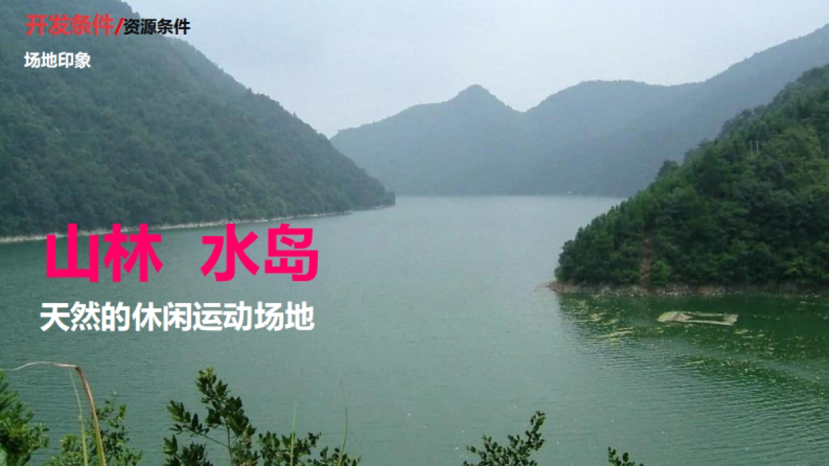 湖南安化悦动茶湾桃花岛旅游度假区概念规划_第7页