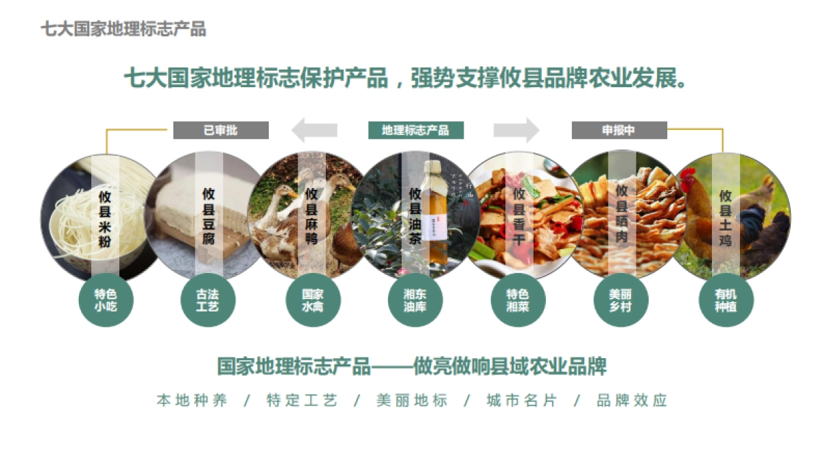 湖南攸县乐达山茶油·田园综合体概念规划_第2页