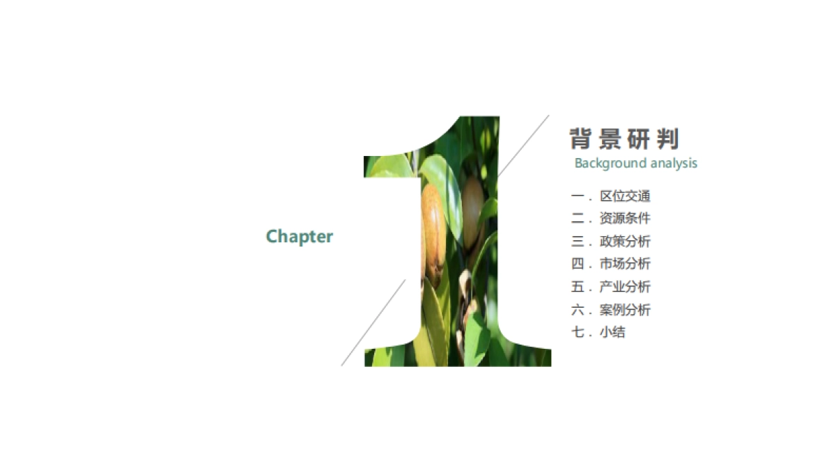 湖南攸县乐达山茶油·田园综合体概念规划_第5页