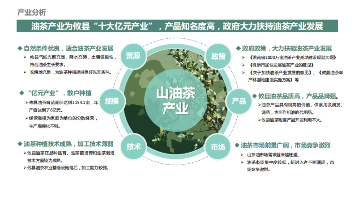 湖南攸县乐达山茶油·田园综合体概念规划_第8页