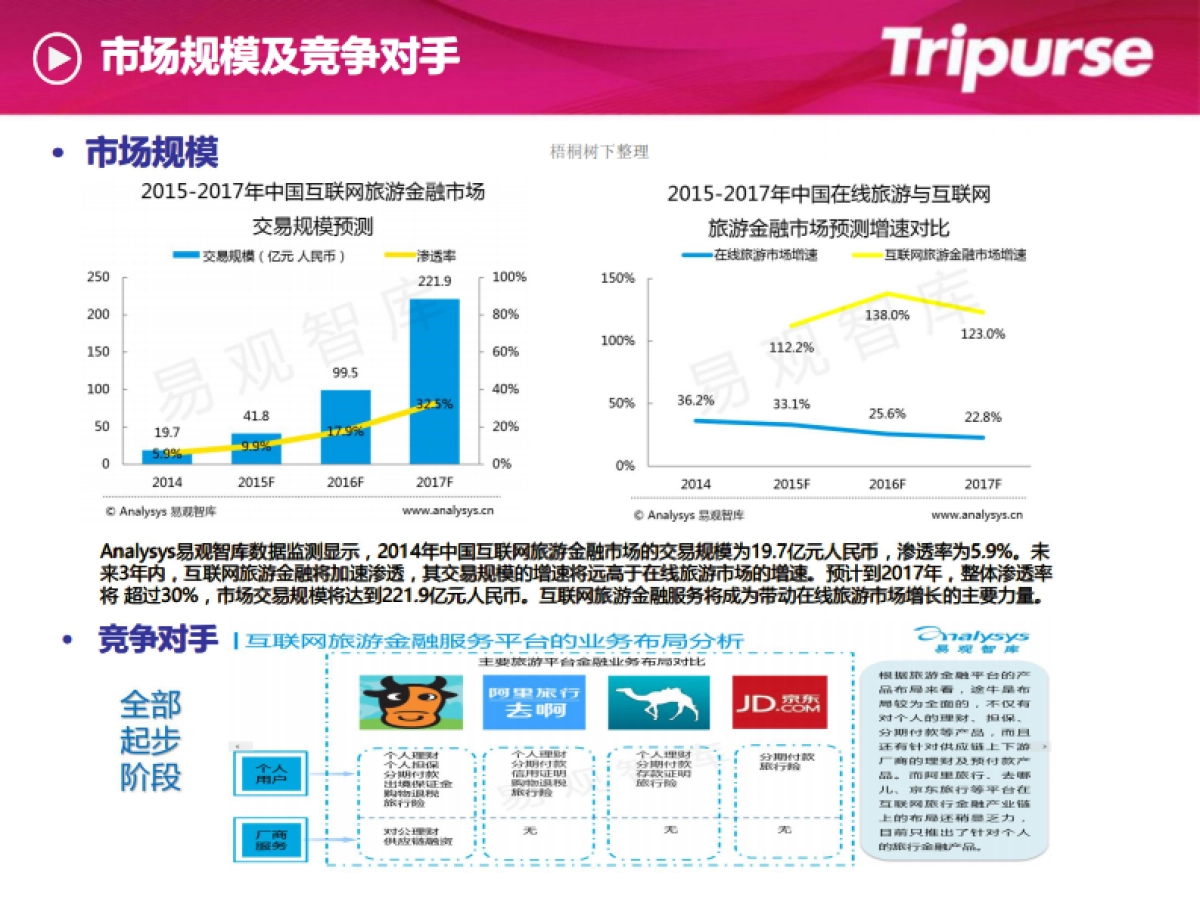 互联网旅游金融服务_第6页