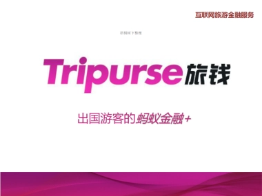 互联网旅游金融服务