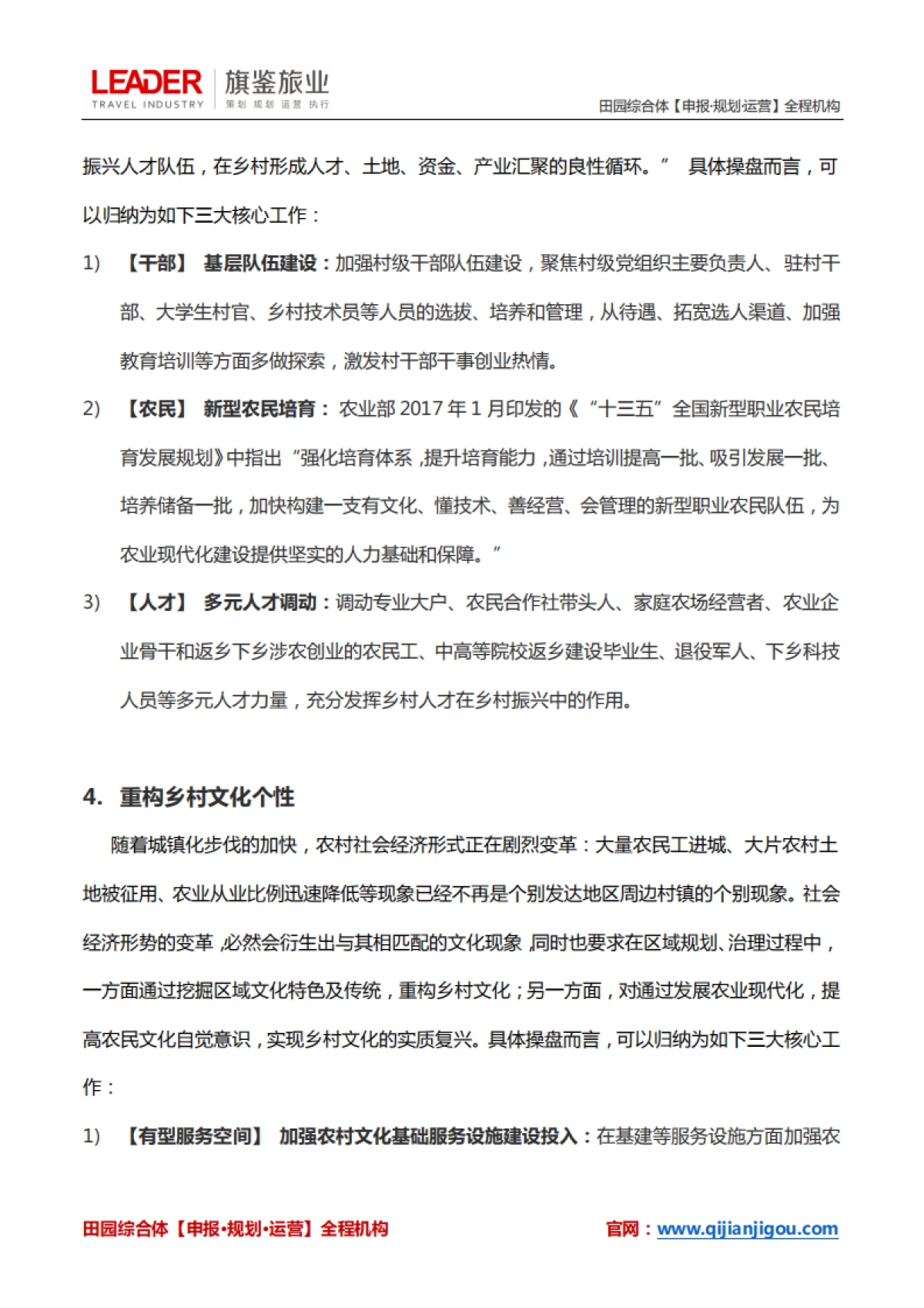 乡村振兴战略落地5大工作重点_第3页