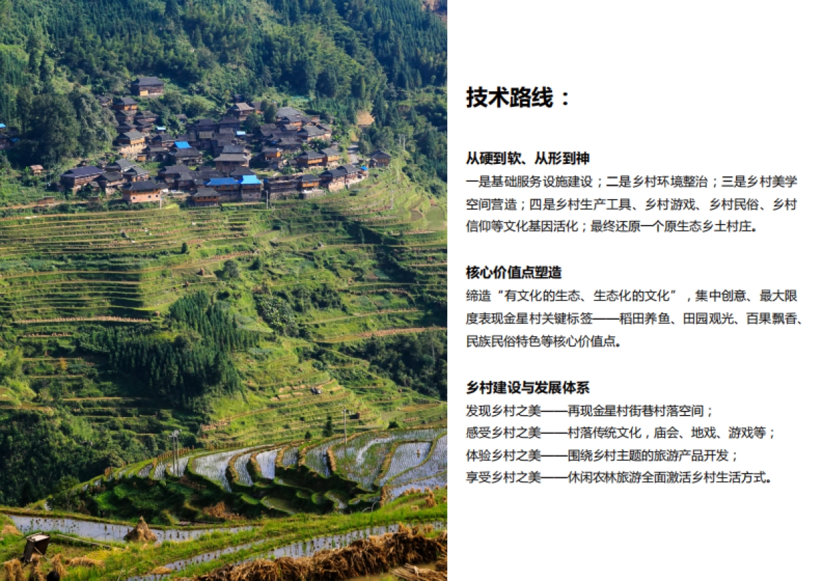 平塘县克度镇金星村“乡村振兴战略示范村”规划_第3页