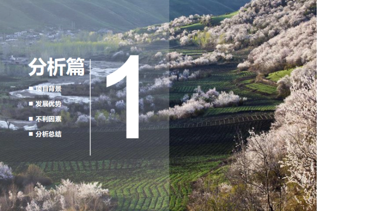 秦皇岛大道岭村美丽乡村概念规划（中央美院）_第3页