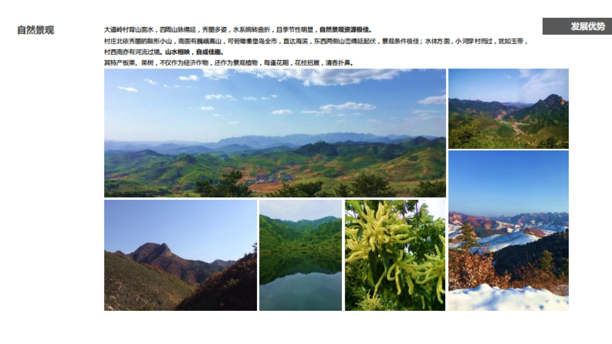 秦皇岛大道岭村美丽乡村概念规划（中央美院）_第7页