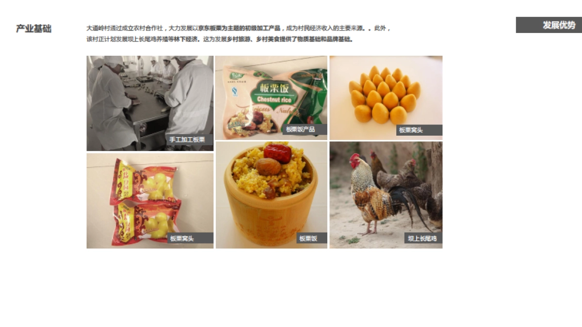 秦皇岛大道岭村美丽乡村概念规划（中央美院）_第9页