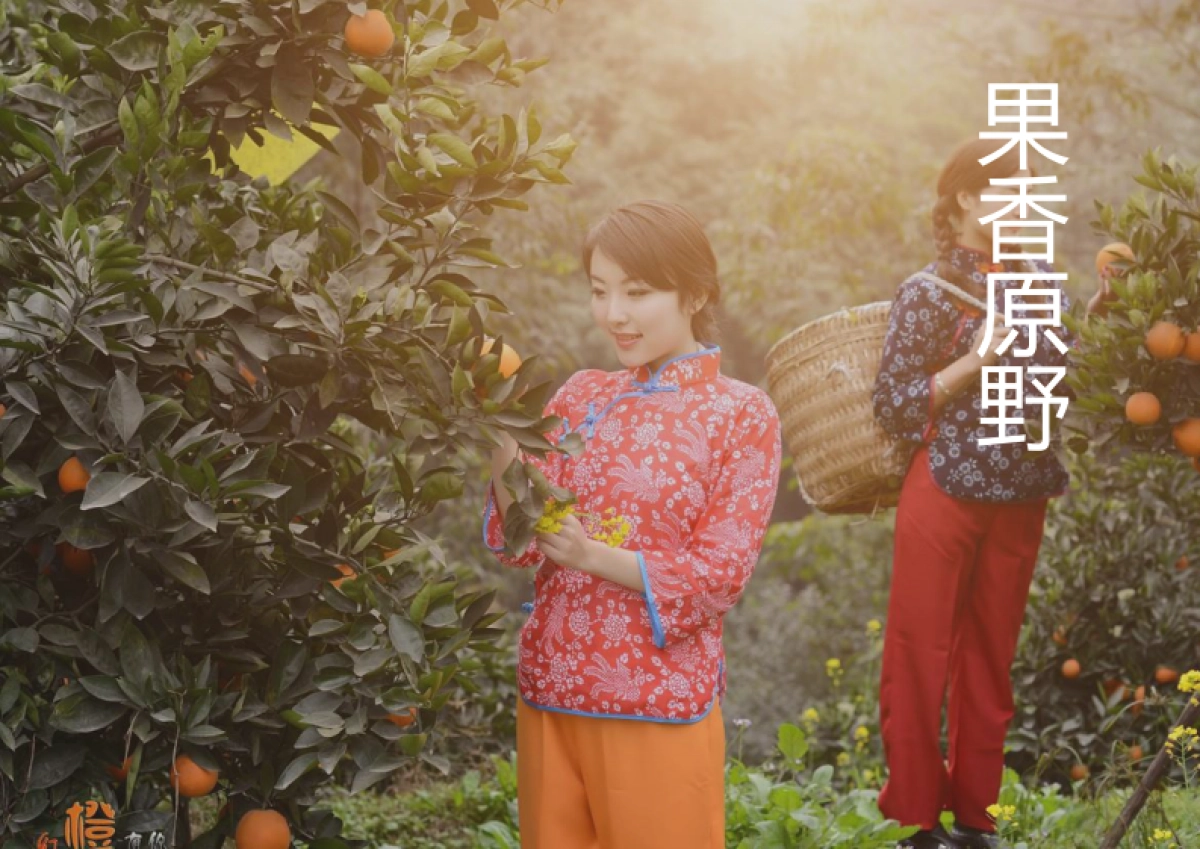 青岛市洋河镇乡村旅游规划(万象乾元)_第6页