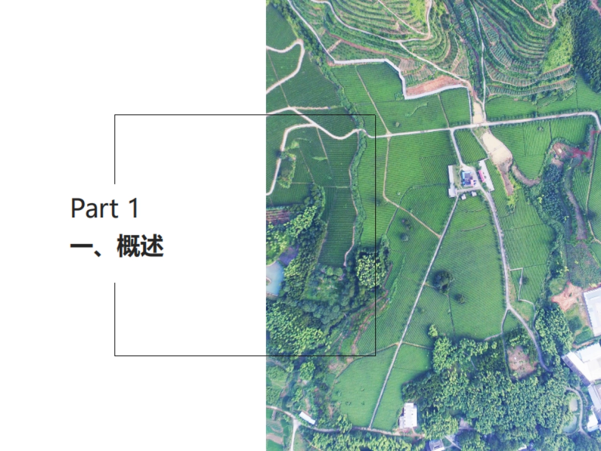 三明市南山村村庄振兴及国土空间规划(2019-3035)_第3页