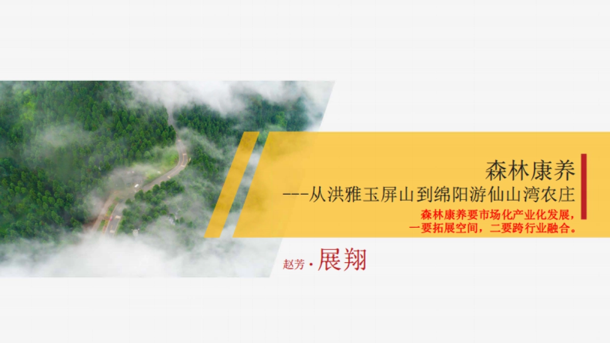 森林康养到乡村振兴研发_第2页