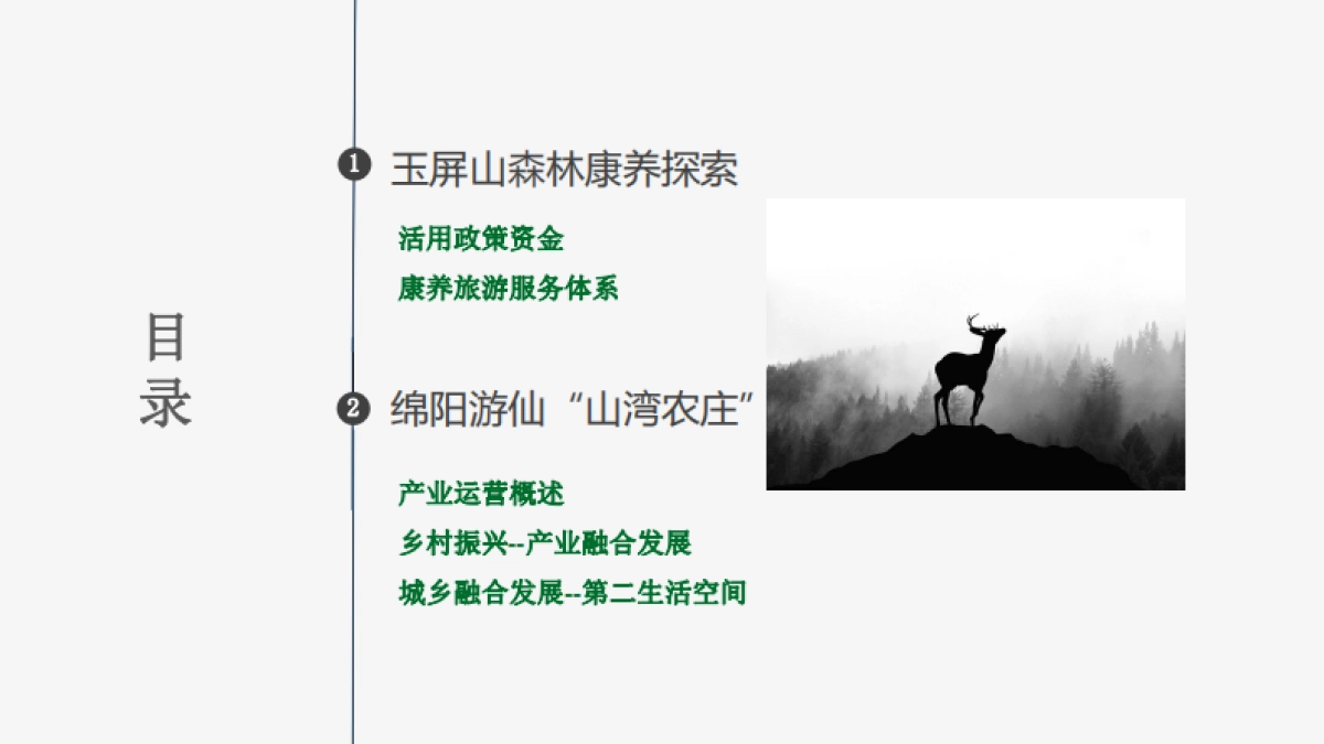 森林康养到乡村振兴研发_第4页