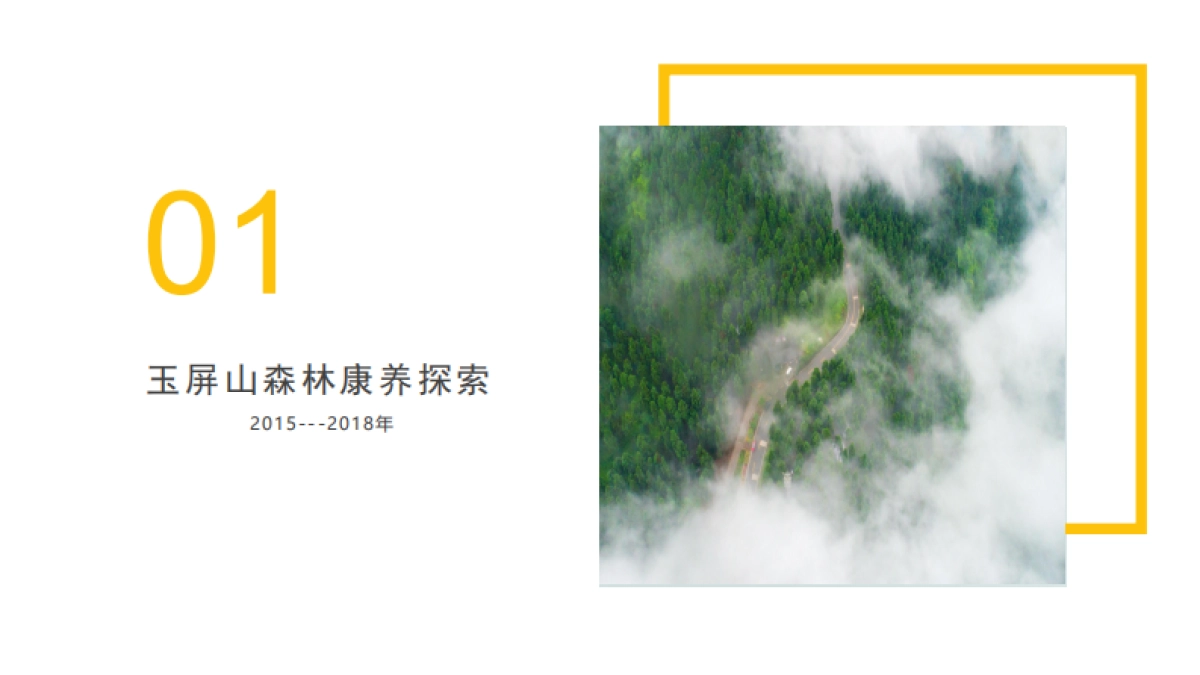 森林康养到乡村振兴研发_第5页