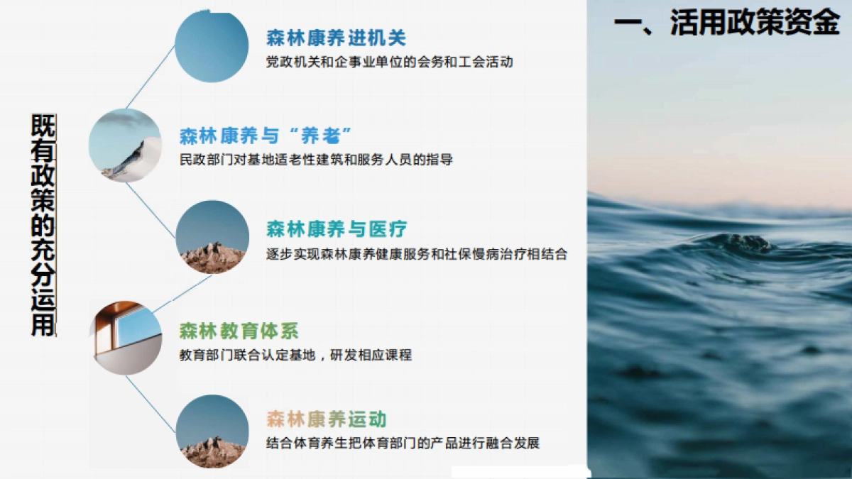 森林康养到乡村振兴研发_第6页