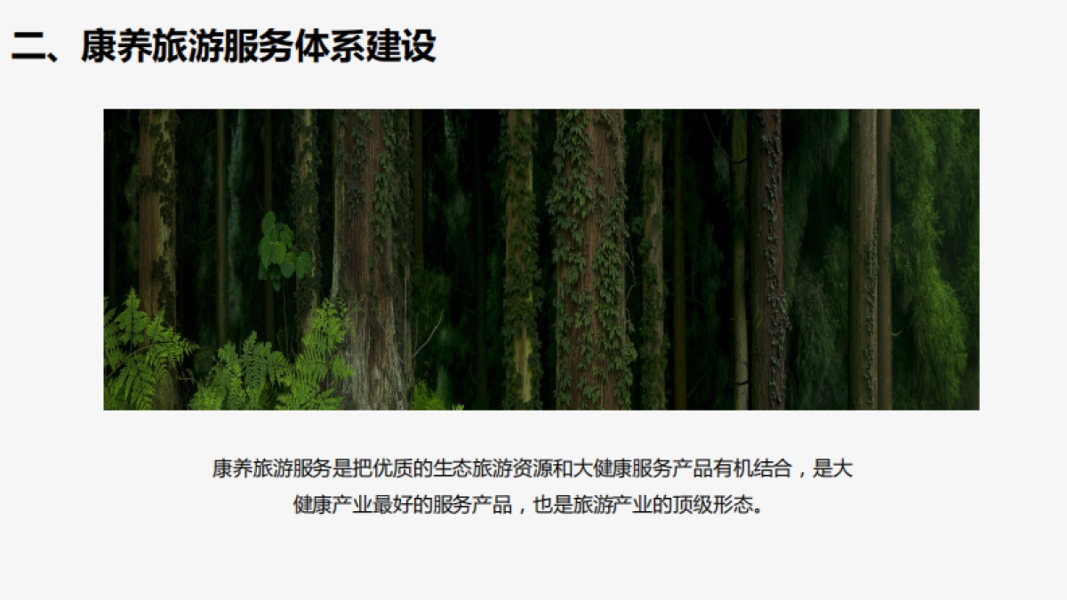 森林康养到乡村振兴研发_第9页