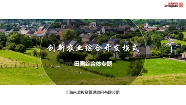 田园综合体综合开发模式（东滩投资）