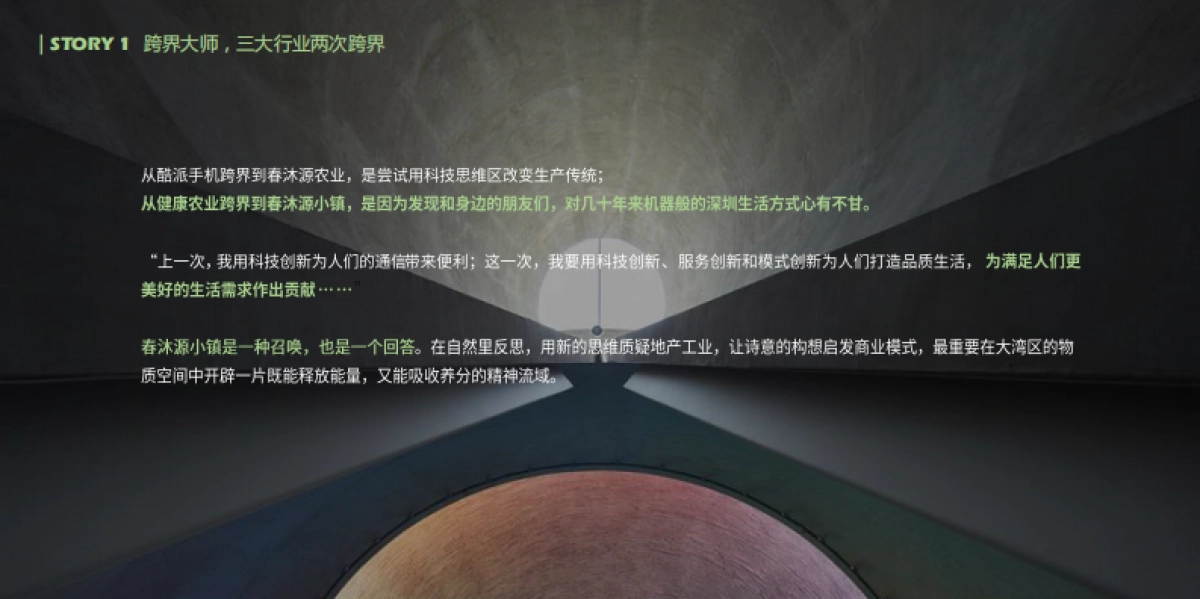 文旅小镇丨春沐源小镇项目手册_第6页