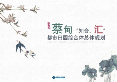 武汉蔡甸“知音汇”都市田园综合体总体规划（武规院）