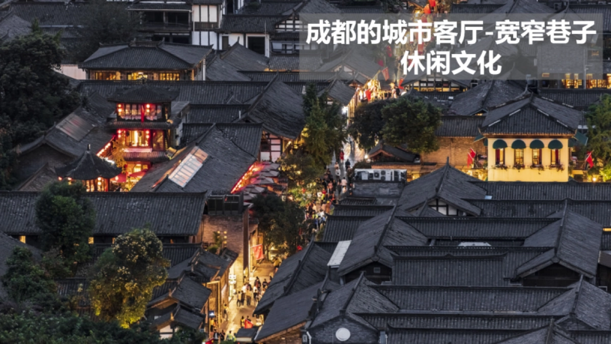 西南文旅特色-夜郎寨村概念性定位策划方案_第5页