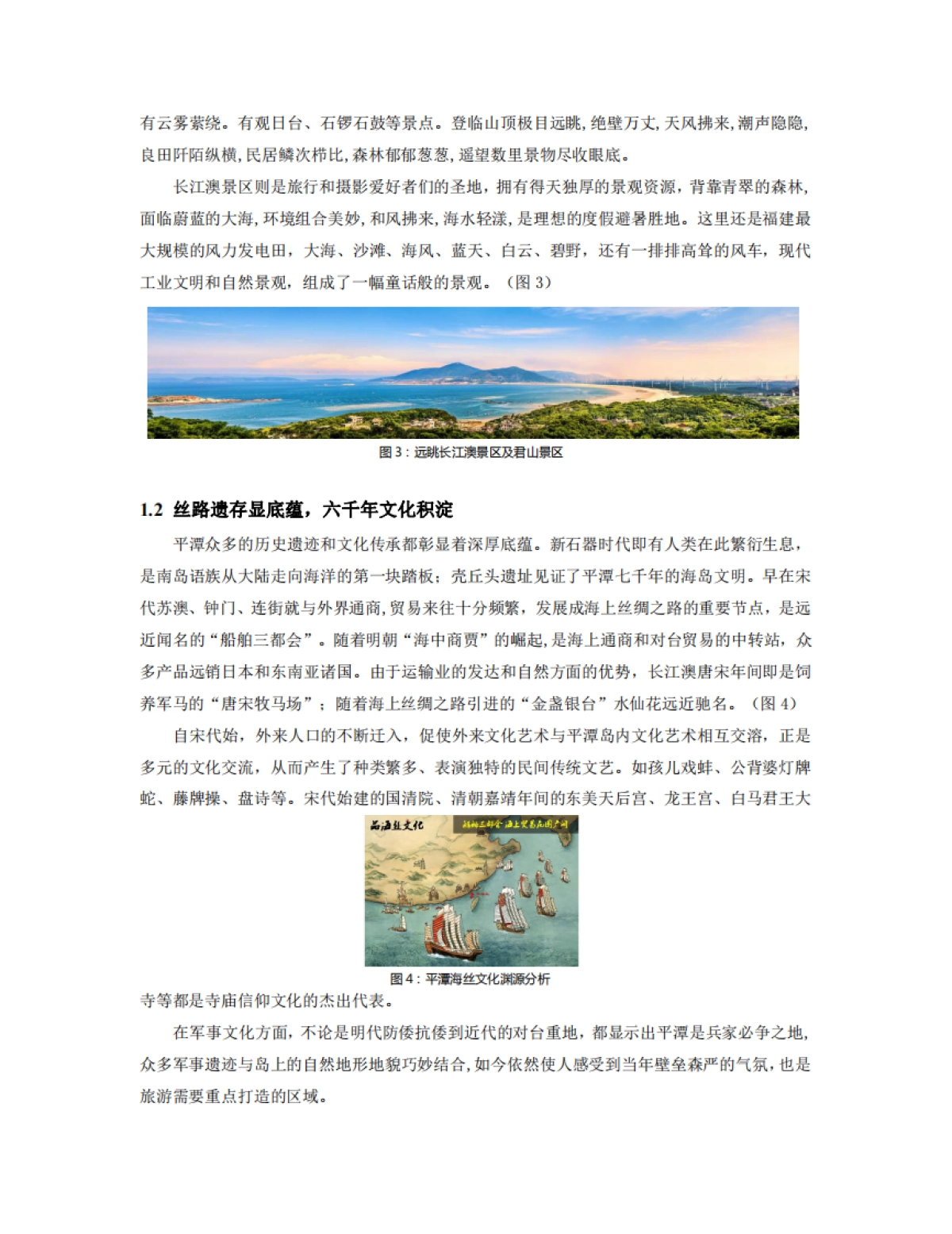 乡村振兴背景下国际旅游岛景村共建模式_第3页