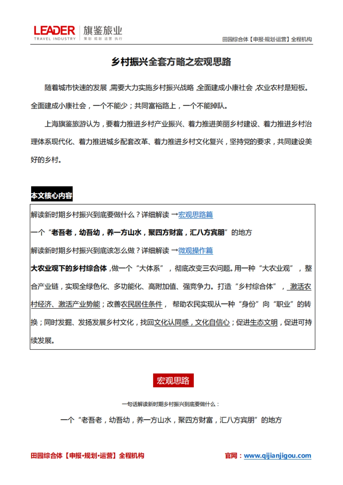 乡村振兴全套方略之宏观思路_第1页