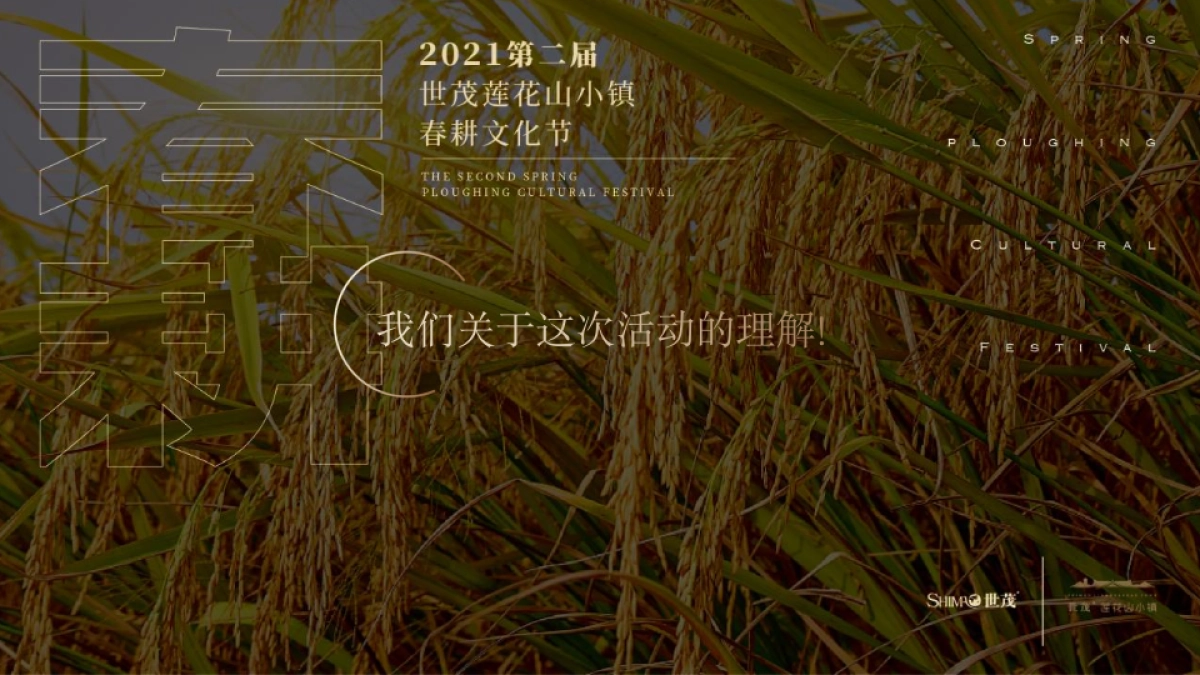 文旅小镇春耕大典第二届春耕文化节活动策划方案_第2页