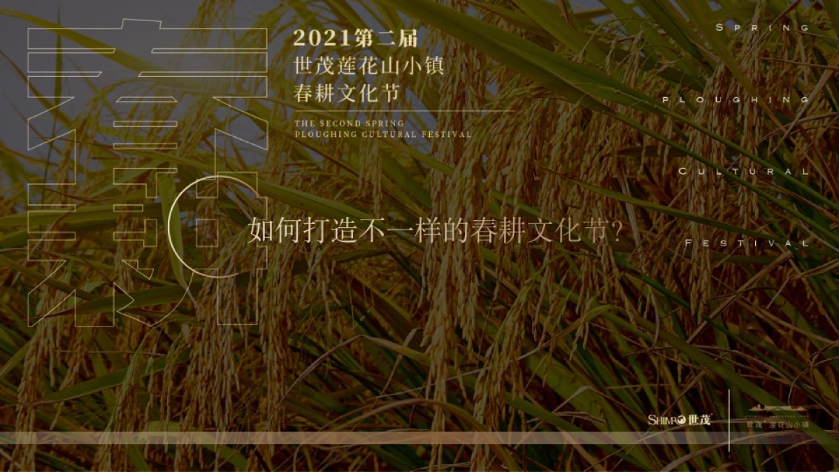 文旅小镇春耕大典第二届春耕文化节活动策划方案_第7页