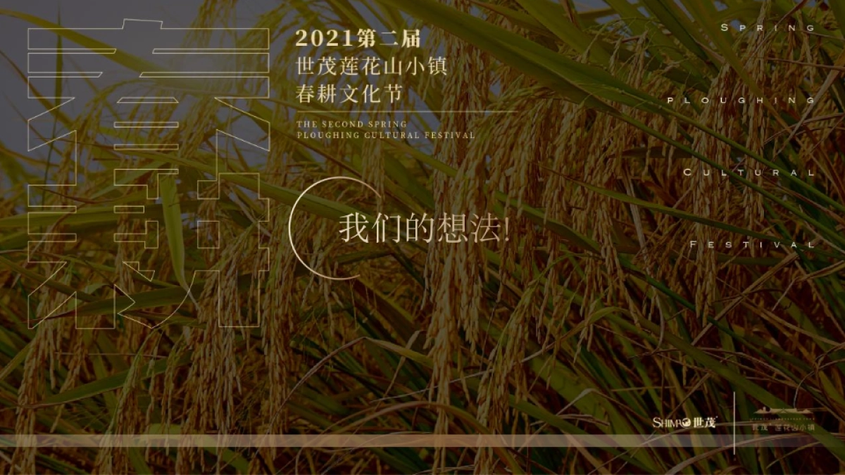 文旅小镇春耕大典第二届春耕文化节活动策划方案_第8页