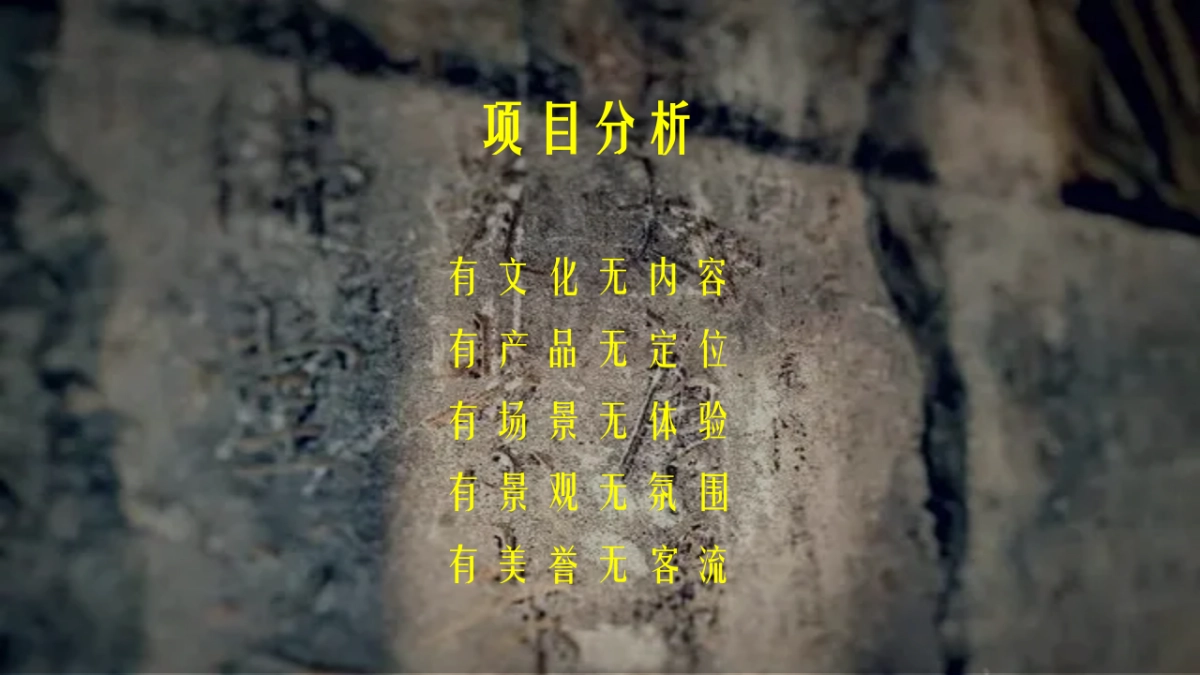 邢台隆尧李氏文化园运营思路_第5页