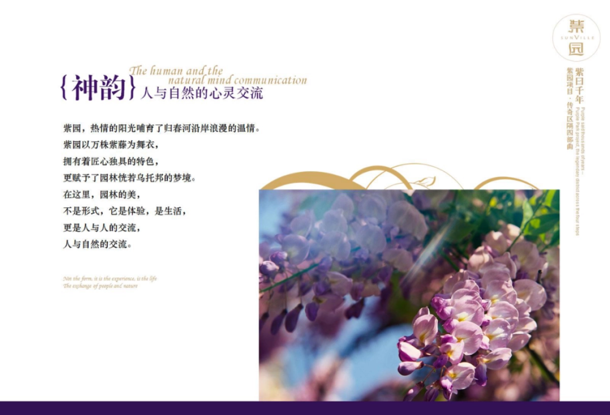 紫园-紫曰千年策略案_第10页